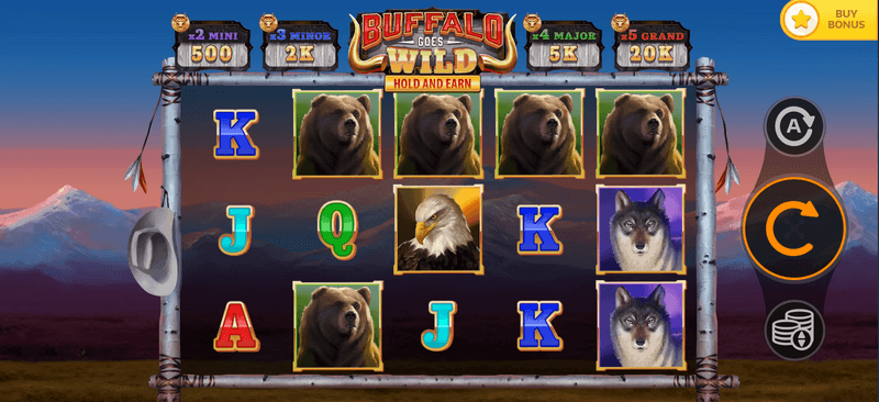 Buffalo Goes Wild